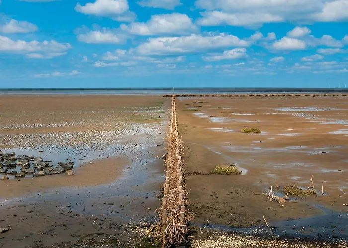 Lägenhet Deichkoje 6 *